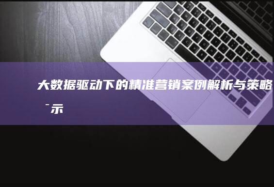 大数据驱动下的精准营销案例解析与策略启示